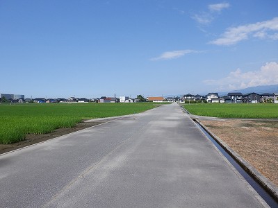 ωw摜