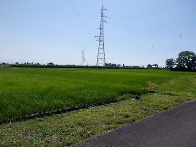 ωw摜