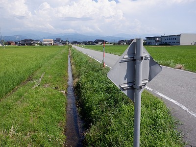 ωw摜