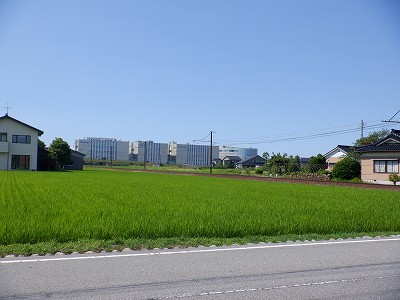 ωw摜
