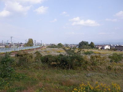 w摜