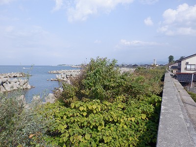 w摜