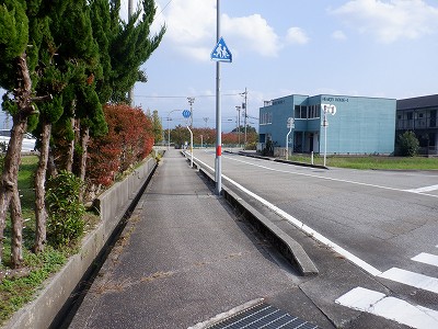 w摜