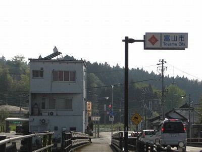 쎛w摜