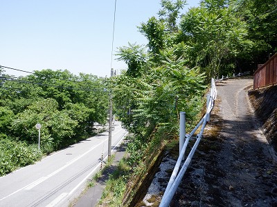 쎛w摜