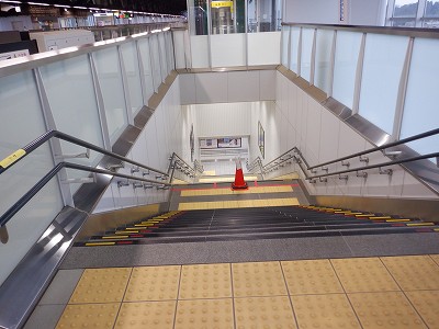 �����F�ތ�����w�摜