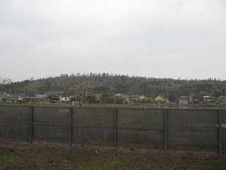 ホームより