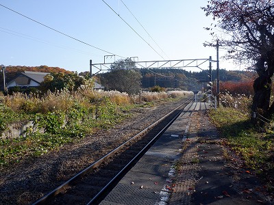Êԉw摜