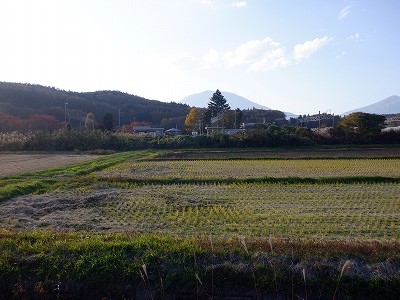 Êԉw摜