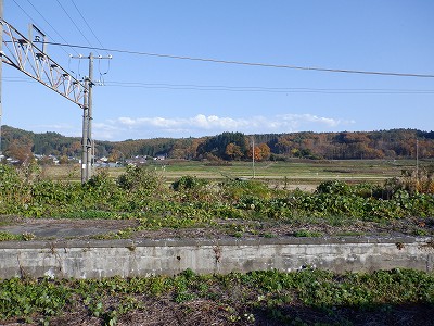 Êԉw摜