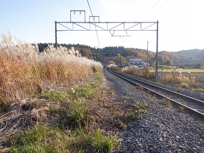 Êԉw摜