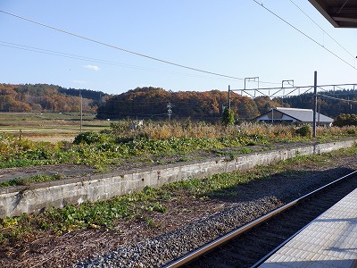 Êԉw摜