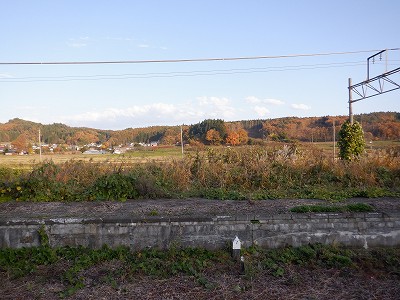 Êԉw摜