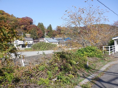 w摜