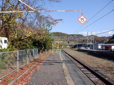 w摜