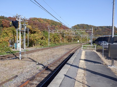 w摜