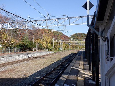 w摜