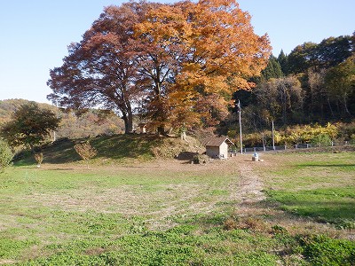 w摜