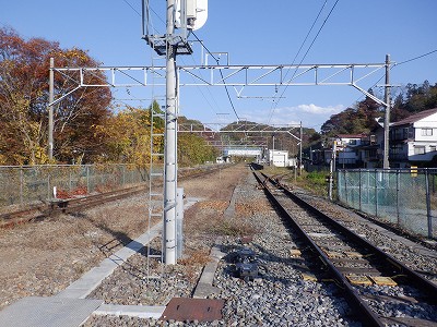 w摜