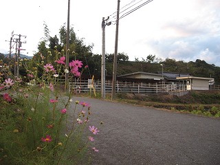 駅遠景