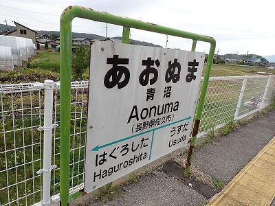 ���w���W