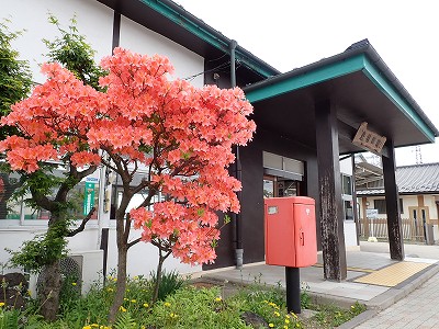 �⑺�c�w�摜