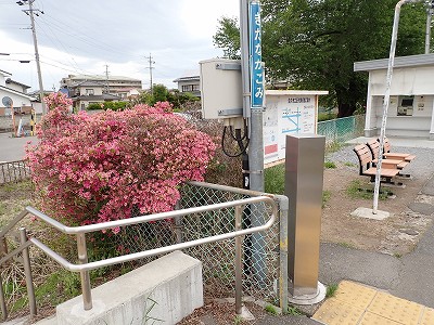 �k�����w�摜