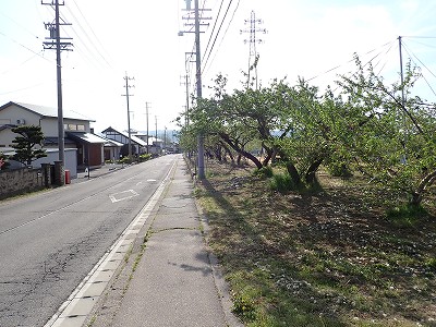 �����w�摜