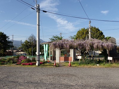 �O���w�摜