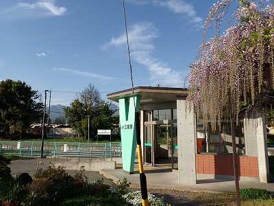 �O���w�摜