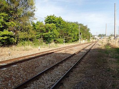 �O���w�摜