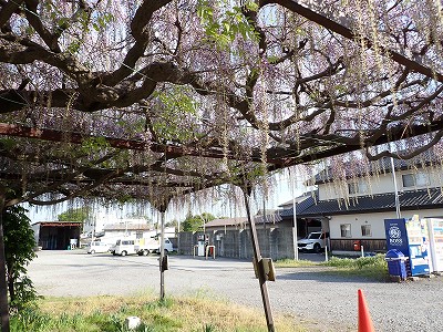 �O���w�摜