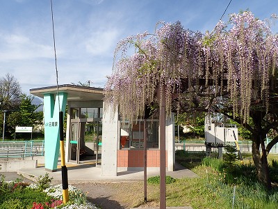 �O���w�摜