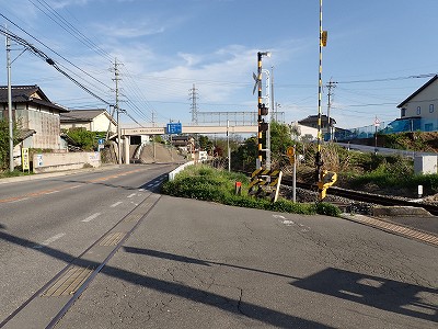 �O���w�摜