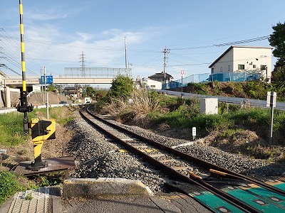 �O���w�摜