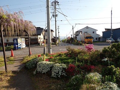 �O���w�摜