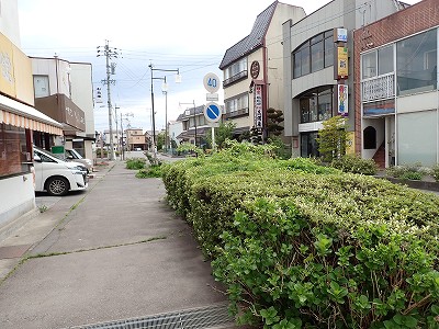 �����w�摜