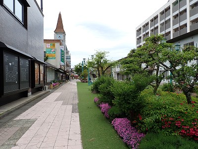 �����w�摜