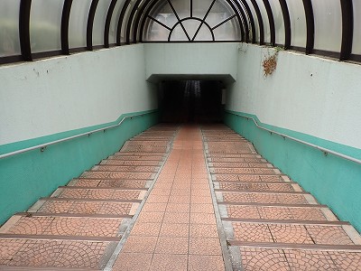 �����w�摜