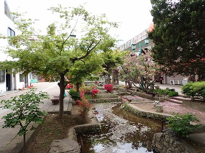 �����w�摜