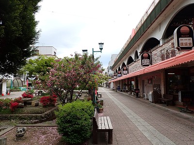 �����w�摜