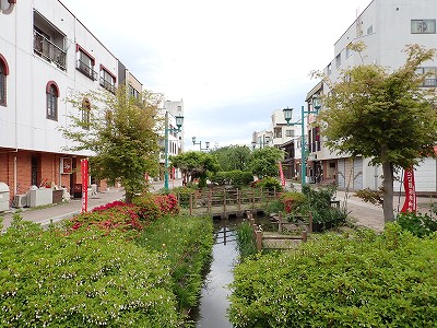 �����w�摜