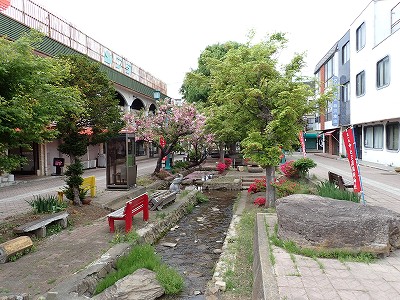 �����w�摜