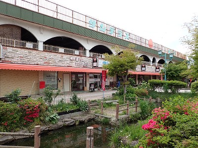 �����w�摜