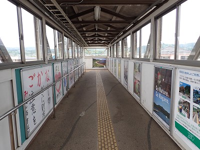 �����w�摜