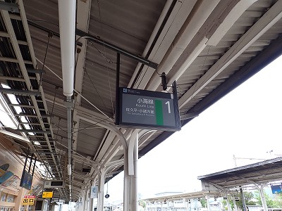 �����w�摜