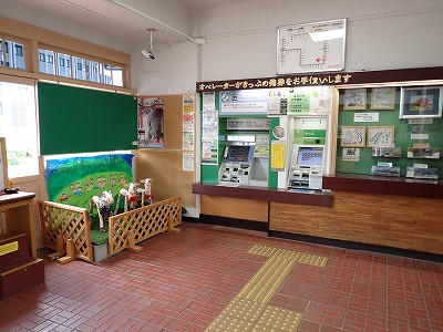 �����w�摜