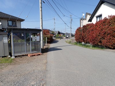 �����s�w�摜