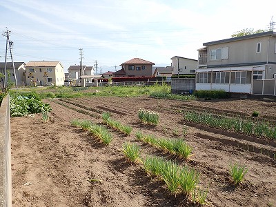 �����s�w�摜