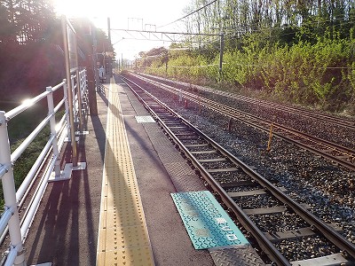 �����w�摜